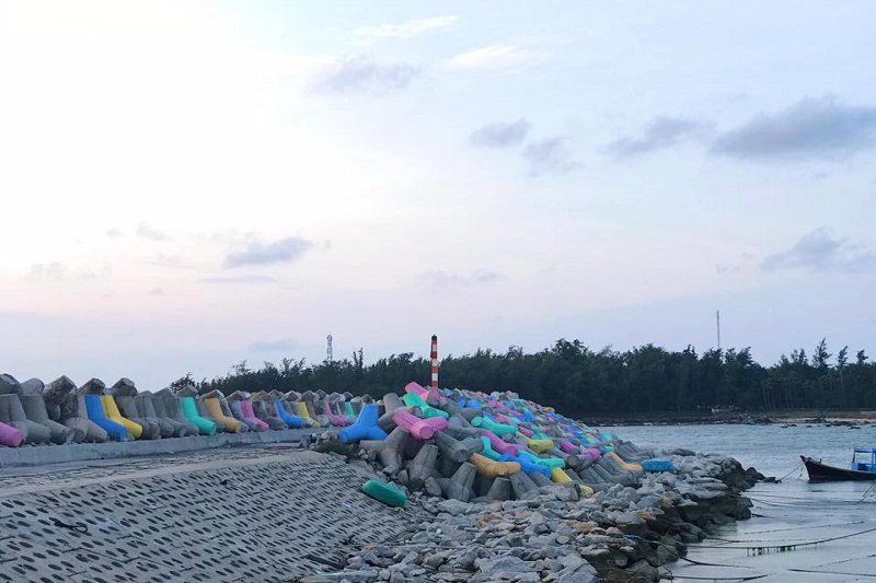 Ảnh slide minh họa 5